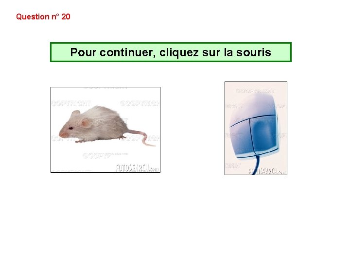 Question n° 20 Pour continuer, cliquez sur la souris Question n° 20 Pour continuer, cliquez sur la souris