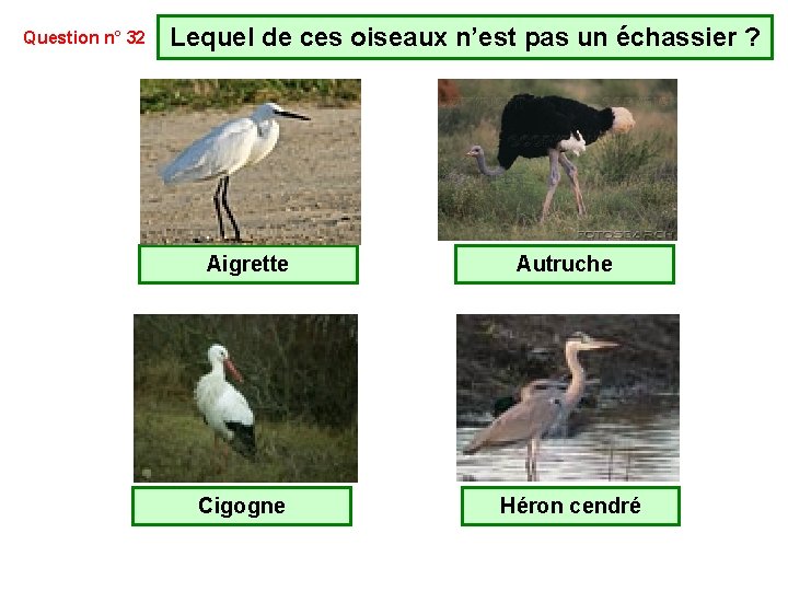 Test Quiz Questions Danimaux Voyezvous Les 30 Animaux