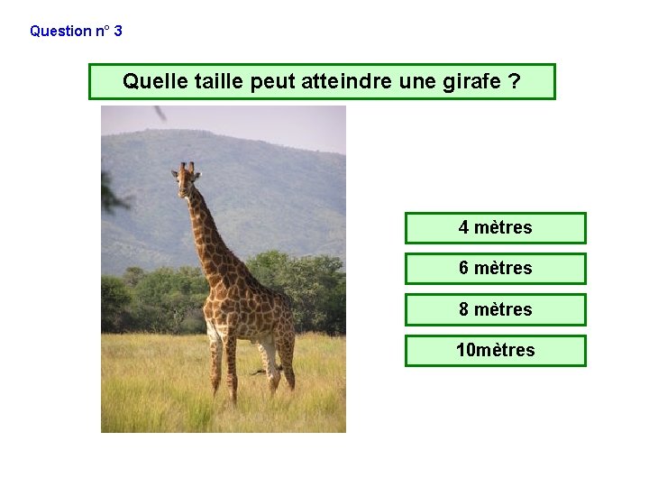 Question n° 3 Quelle taille peut atteindre une girafe ? 4 mètres 6 mètres Question n° 3 Quelle taille peut atteindre une girafe ? 4 mètres 6 mètres