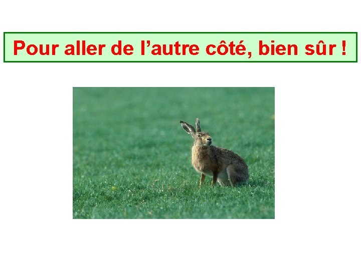 Pour aller de l’autre côté, bien sûr ! Pour aller de l’autre côté, bien sûr !