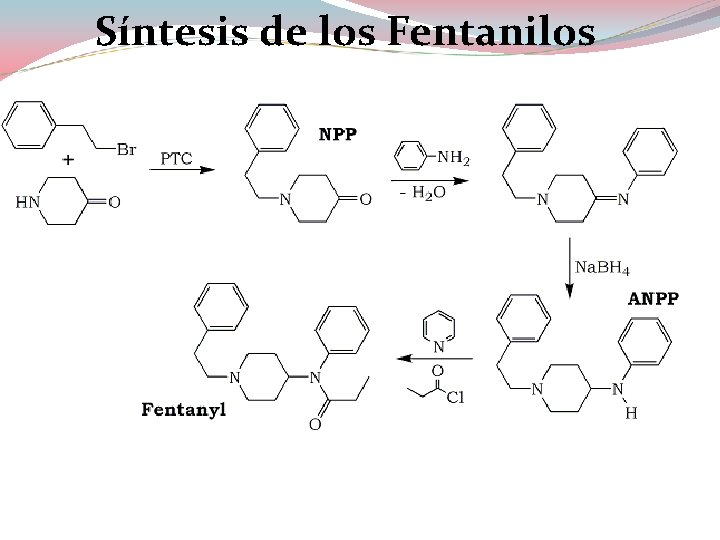 Síntesis de los Fentanilos 