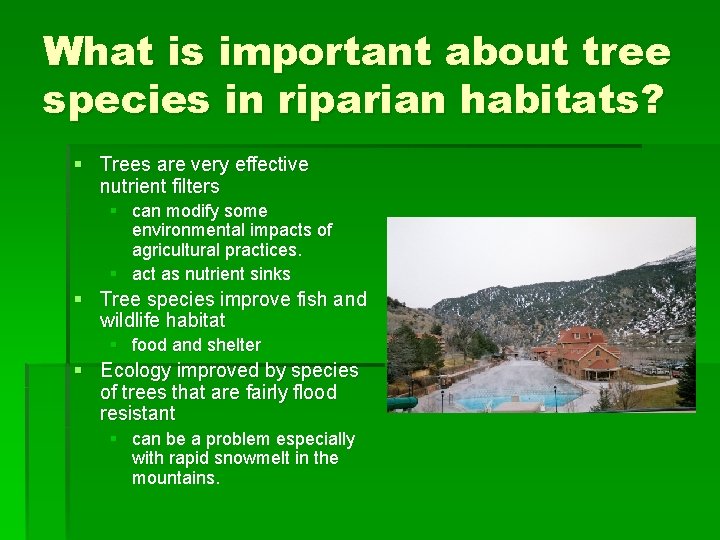 What is important about tree species in riparian habitats? § Trees are very effective