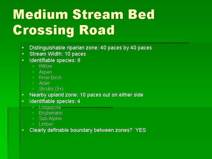 Medium Stream Bed Crossing Road § Distinguishable riparian zone: 40 paces by 40 paces