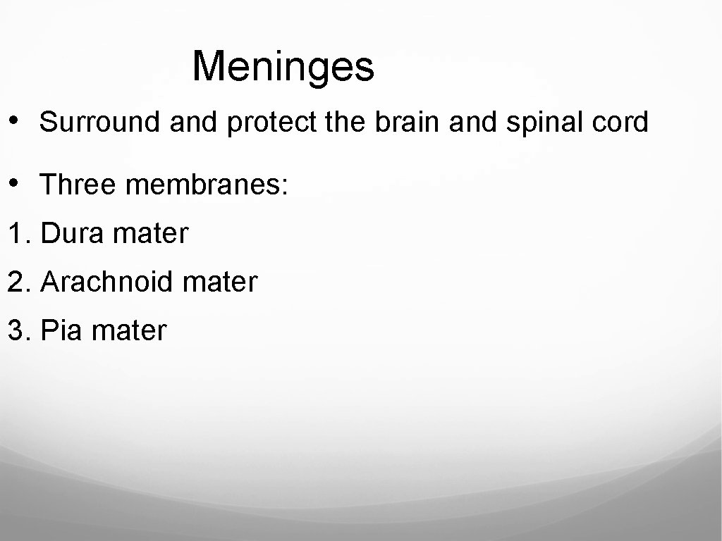 Meninges • Surround and protect the brain and spinal cord • Three membranes: 1.