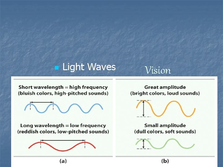 n Light Waves n n Frequency Amplitude Vision 