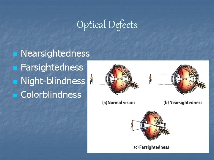 Optical Defects n n Nearsightedness Farsightedness Night-blindness Colorblindness 