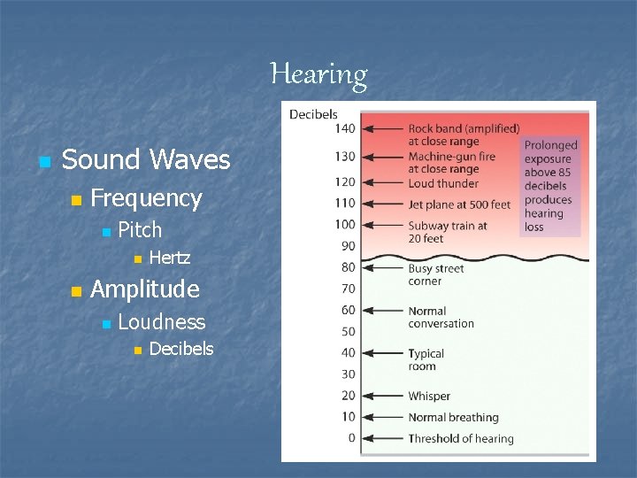 Hearing n Sound Waves n Frequency n Pitch n n Hertz Amplitude n Loudness