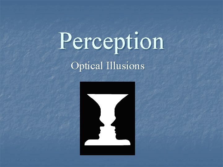 Perception Optical Illusions 