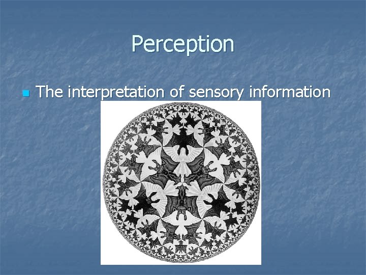 Perception n The interpretation of sensory information 