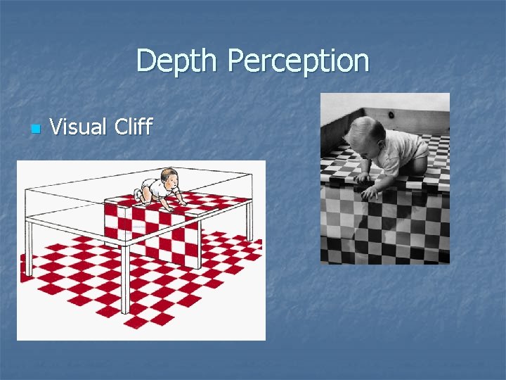 Depth Perception n Visual Cliff 