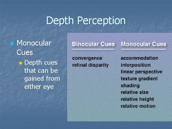 Depth Perception n Monocular Cues n Depth cues that can be gained from either