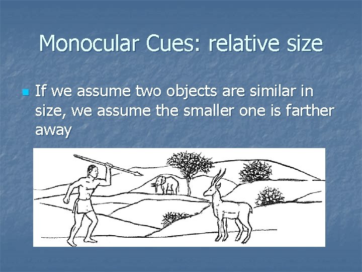 Monocular Cues: relative size n If we assume two objects are similar in size,