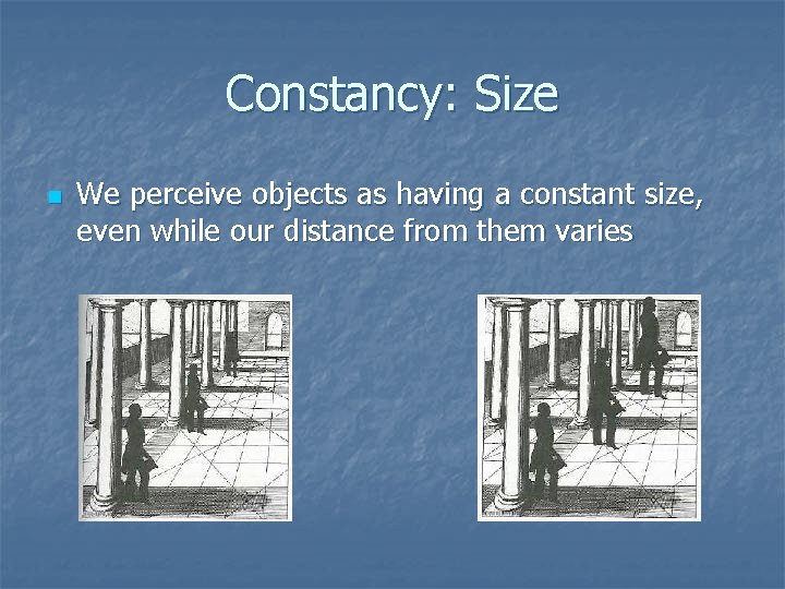 Constancy: Size n We perceive objects as having a constant size, even while our