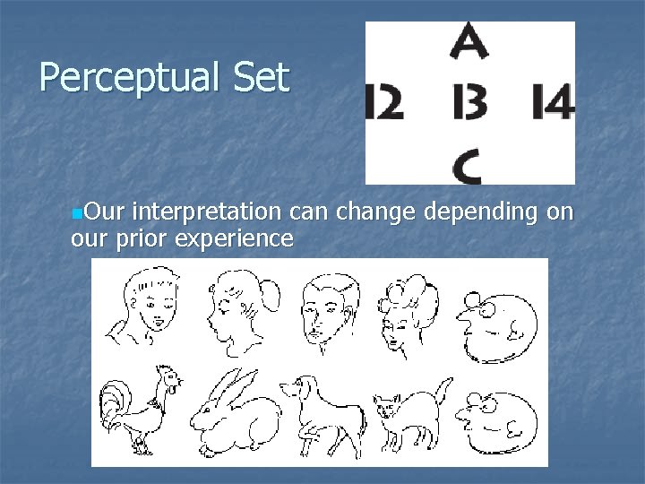 Perceptual Set n. Our interpretation can change depending on our prior experience 