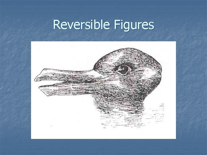 Reversible Figures 