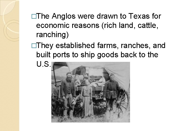 �The Anglos were drawn to Texas for economic reasons (rich land, cattle, ranching) �They