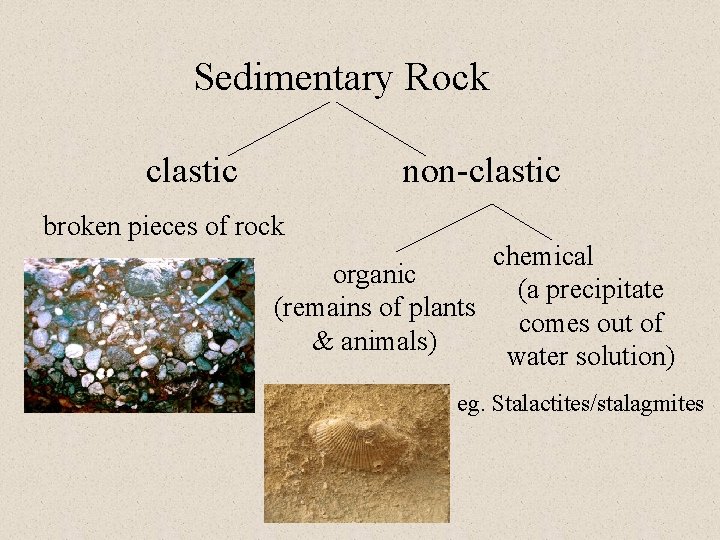 Sedimentary Rock clastic non-clastic broken pieces of rock chemical organic (a precipitate (remains of