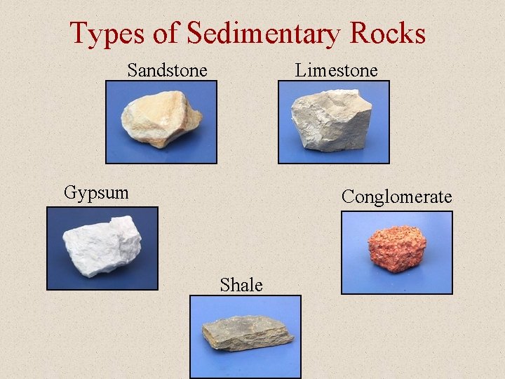 Types of Sedimentary Rocks Sandstone Limestone Gypsum Conglomerate Shale 