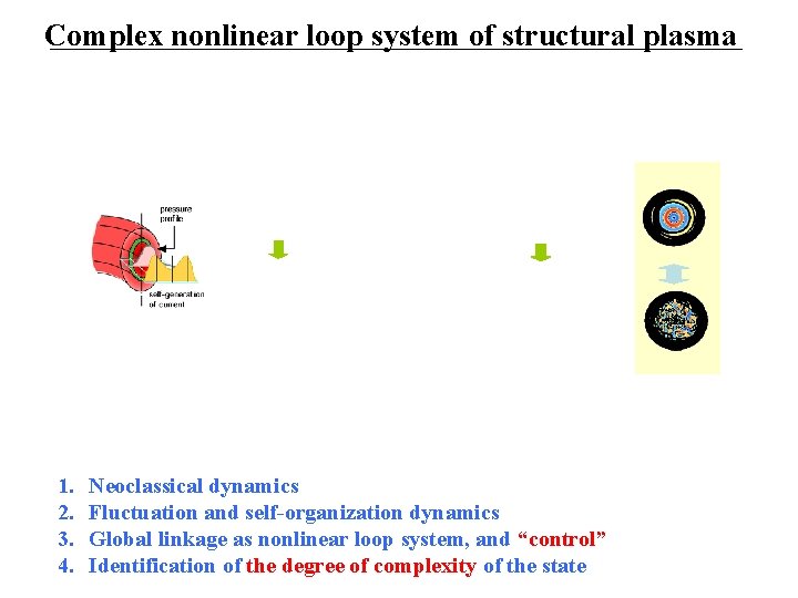 Complex nonlinear loop system of structural plasma 1. 2. 3. 4. Neoclassical dynamics Fluctuation