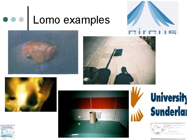 Lomo examples Lomo examples