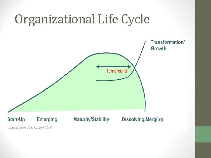 Organizational Life Cycle 