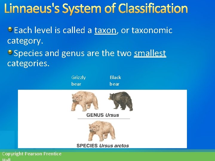 Linnaeus's System of Classification Each level is called a taxon, or taxonomic category. Species