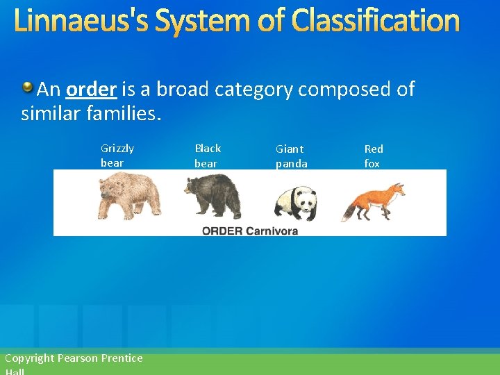 Linnaeus's System of Classification An order is a broad category composed of similar families.