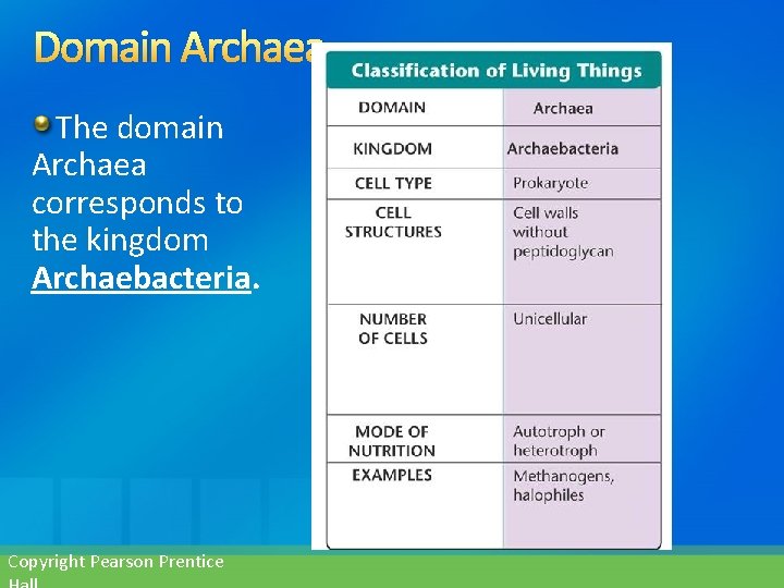 Domain Archaea The domain Archaea corresponds to the kingdom Archaebacteria. Copyright Pearson Prentice 