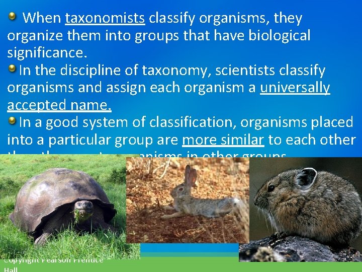  When taxonomists classify organisms, they organize them into groups that have biological significance.