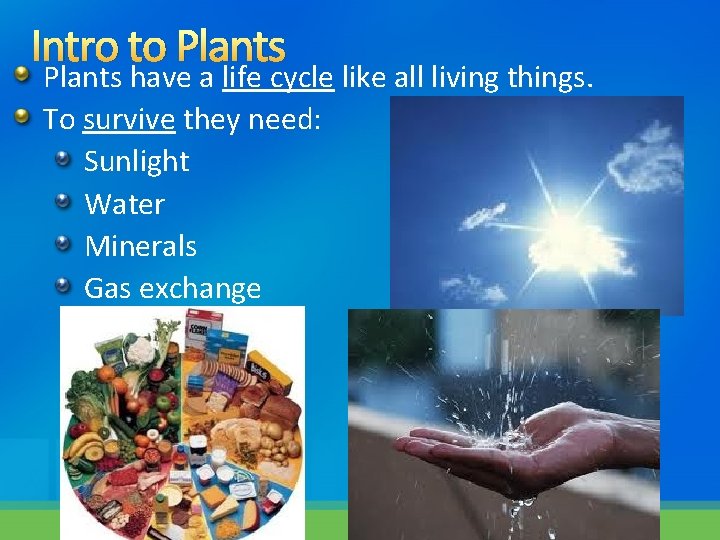 Intro to Plants have a life cycle like all living things. To survive they