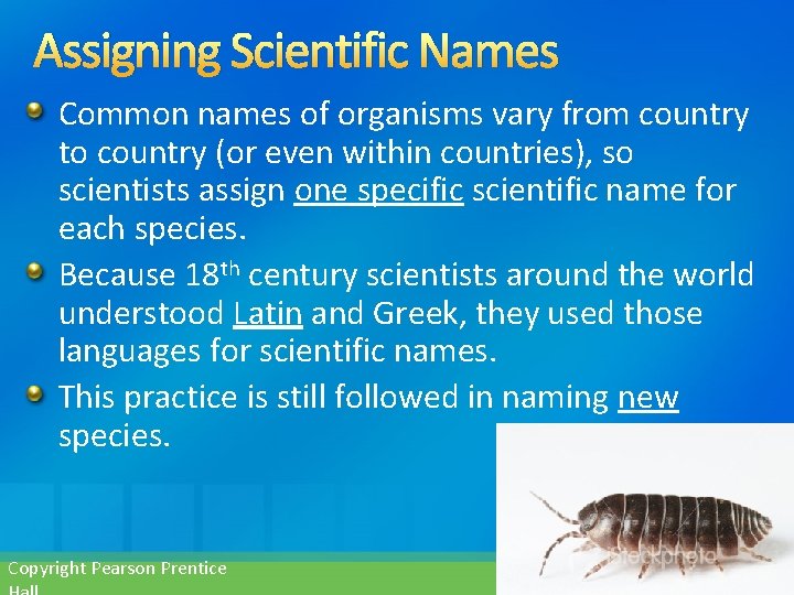 Assigning Scientific Names Common names of organisms vary from country to country (or even