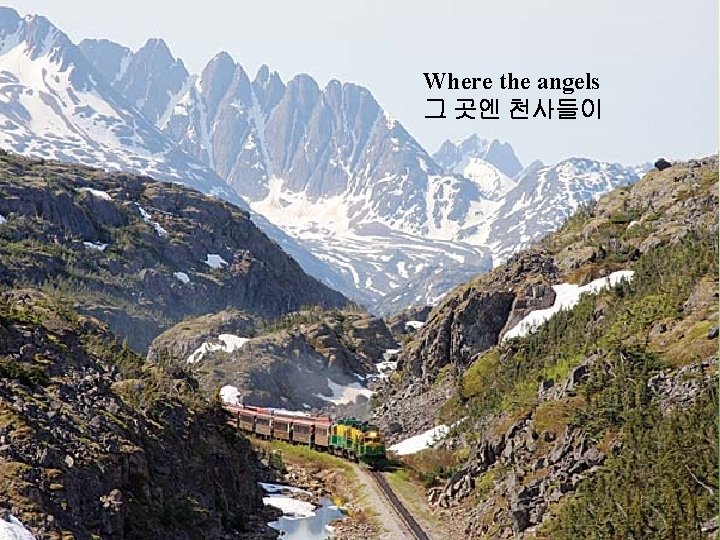 Where the angels 그 곳엔 천사들이 