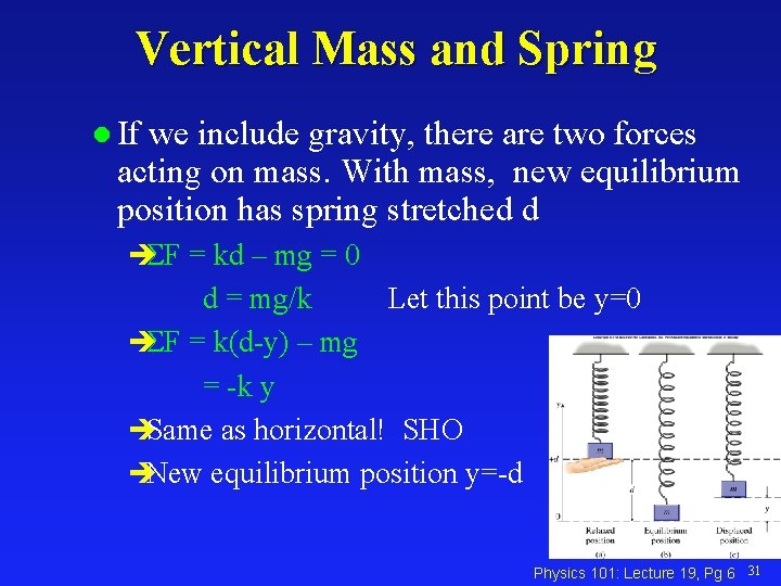 Vertical Mass and Spring l If we include gravity, there are two forces acting