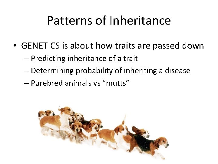 Patterns of Inheritance • GENETICS is about how traits are passed down – Predicting