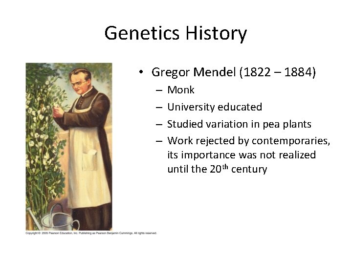 Genetics History • Gregor Mendel (1822 – 1884) – – Monk University educated Studied