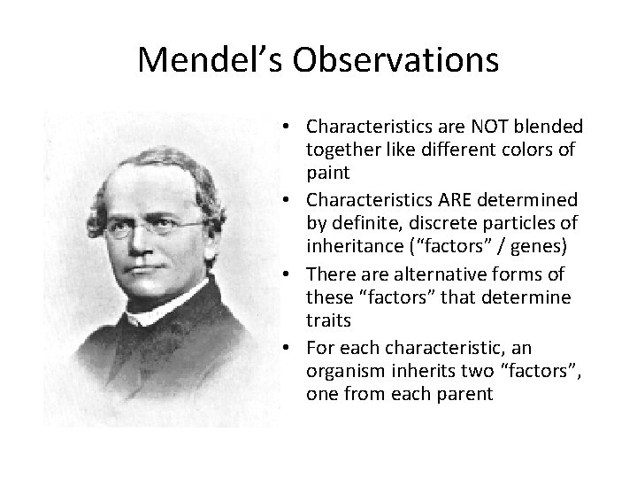 Mendel’s Observations • Characteristics are NOT blended together like different colors of paint •