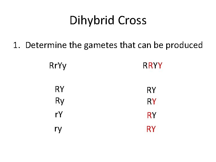 Dihybrid Cross 1. Determine the gametes that can be produced Rr. Yy RRYY RY