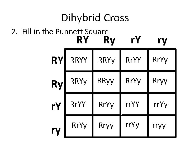 Dihybrid Cross 2. Fill in the Punnett Square RY Ry r. Y ry RY