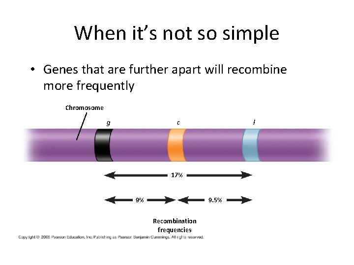 When it’s not so simple • Genes that are further apart will recombine more