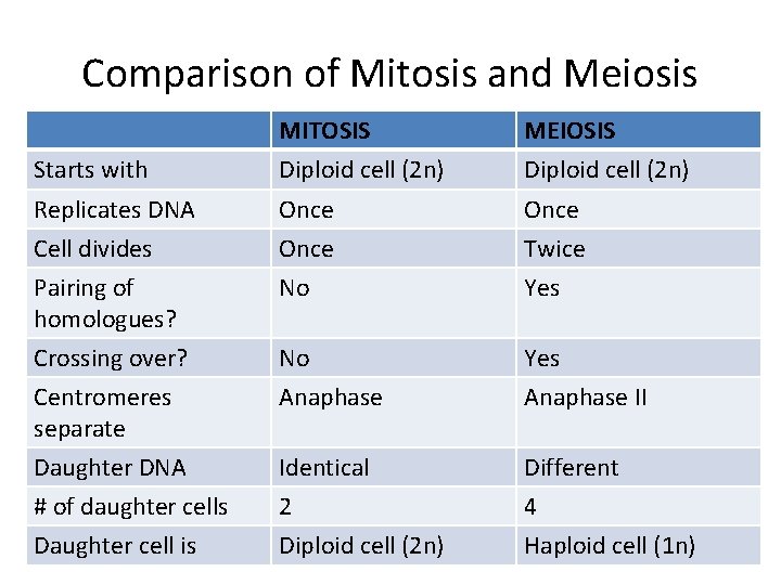 Comparison of Mitosis and Meiosis MITOSIS MEIOSIS Starts with Diploid cell (2 n) Replicates