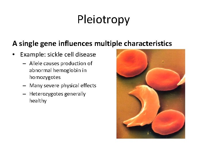 Pleiotropy A single gene influences multiple characteristics • Example: sickle cell disease – Allele