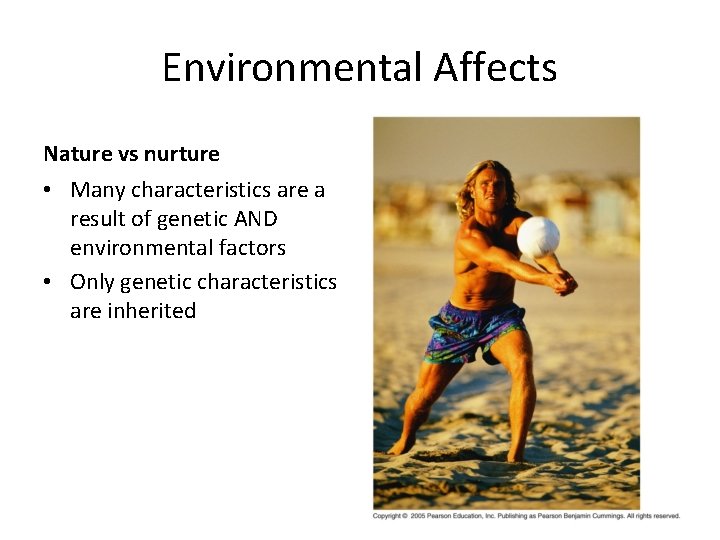 Environmental Affects Nature vs nurture • Many characteristics are a result of genetic AND