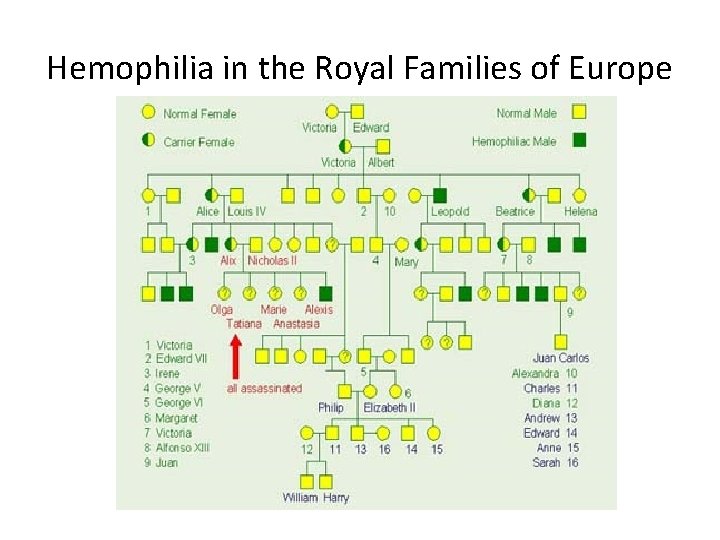 Hemophilia in the Royal Families of Europe 