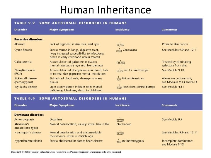 Human Inheritance 
