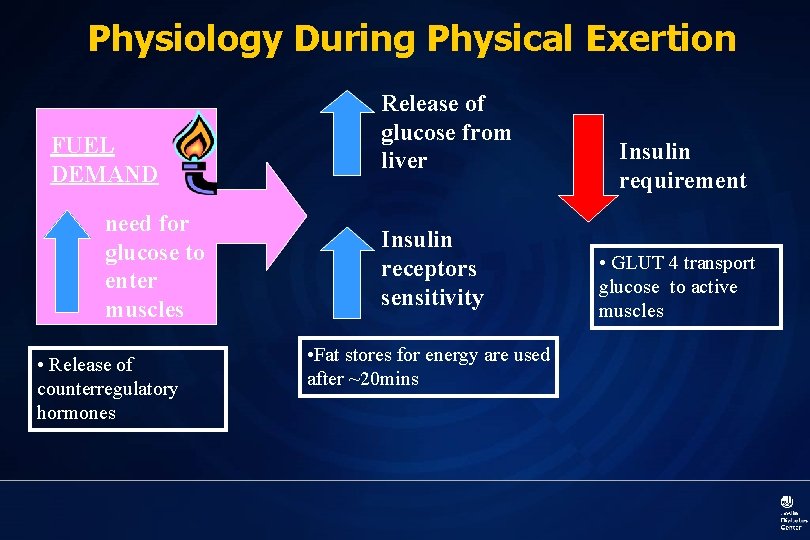 Physiology During Physical Exertion FUEL DEMAND need for glucose to enter muscles • Release