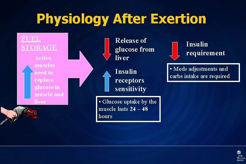 Physiology After Exertion FUEL STORAGE Active muscles need to replace glucose in muscle and