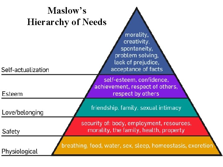 Maslow’s Hierarchy of Needs 