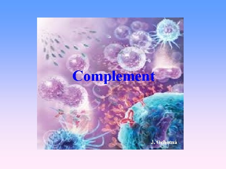 Complement J. Ochotná 