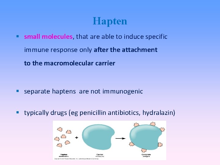 Hapten small molecules, that are able to induce specific immune response only after the