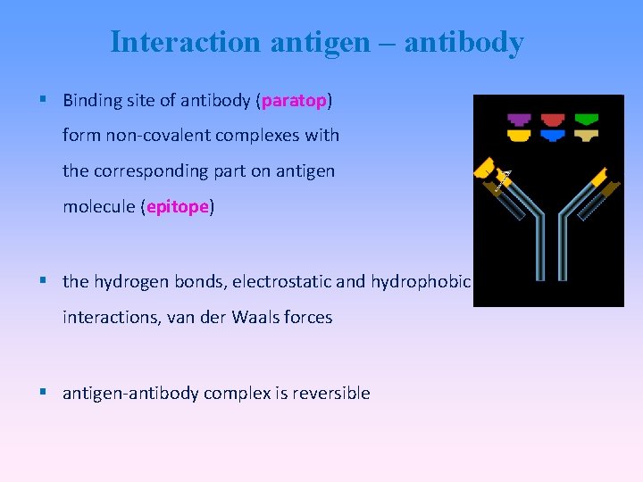 Interaction antigen – antibody Binding site of antibody (paratop) form non-covalent complexes with the